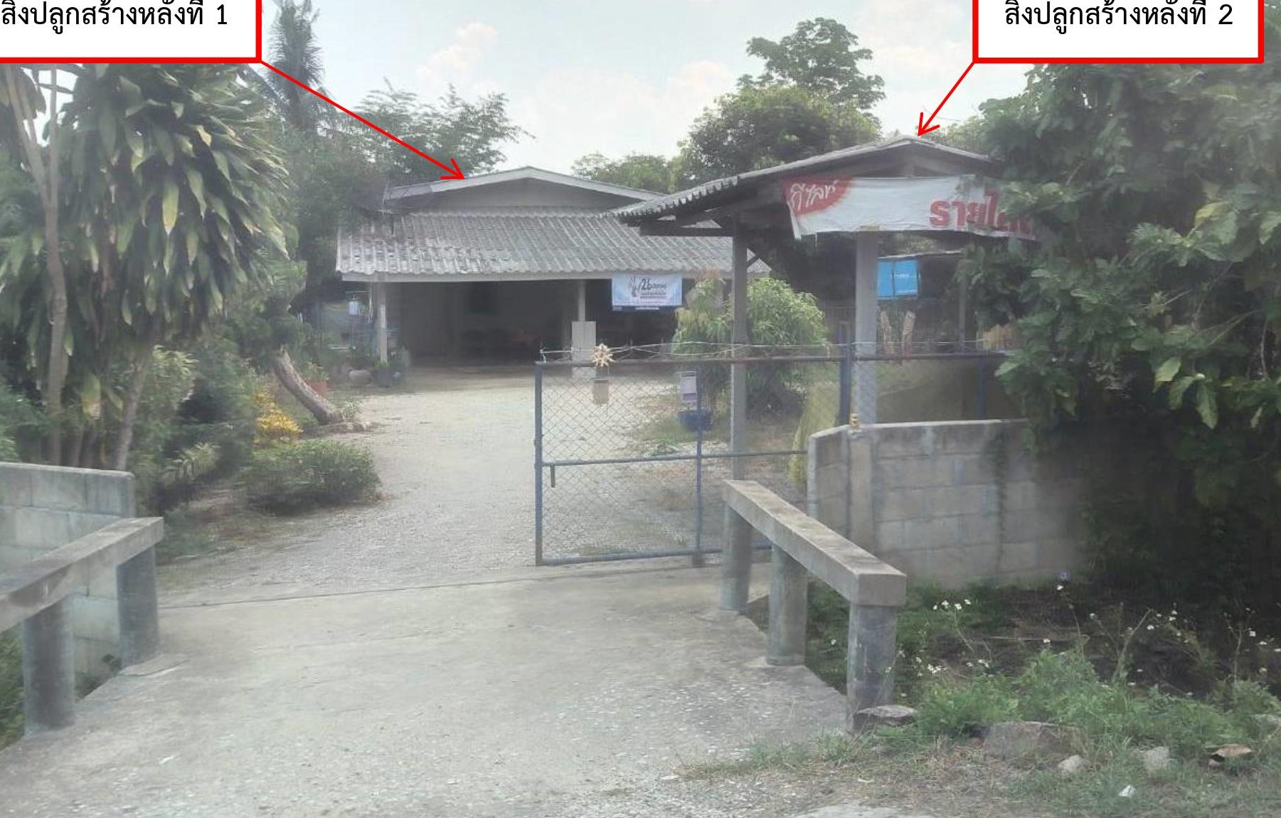 รูปที่ดินพร้อมสิ่งปลูกสร้าง บ้านโฮ่ง บ้านโฮ่ง ลำพูน