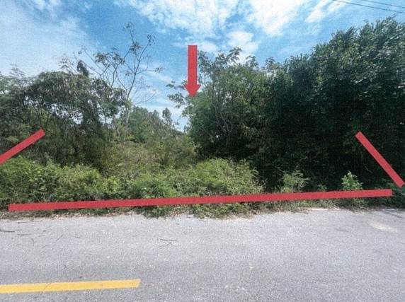 รูปที่ดินว่างเปล่า โชคชัย โชคชัย นครราชสีมา