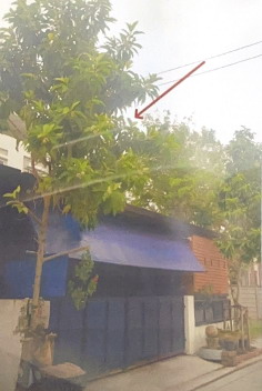 รูปที่ดินพร้อมสิ่งปลูกสร้าง ท่าข้าม บางขุนเทียน กรุงเทพมหานคร