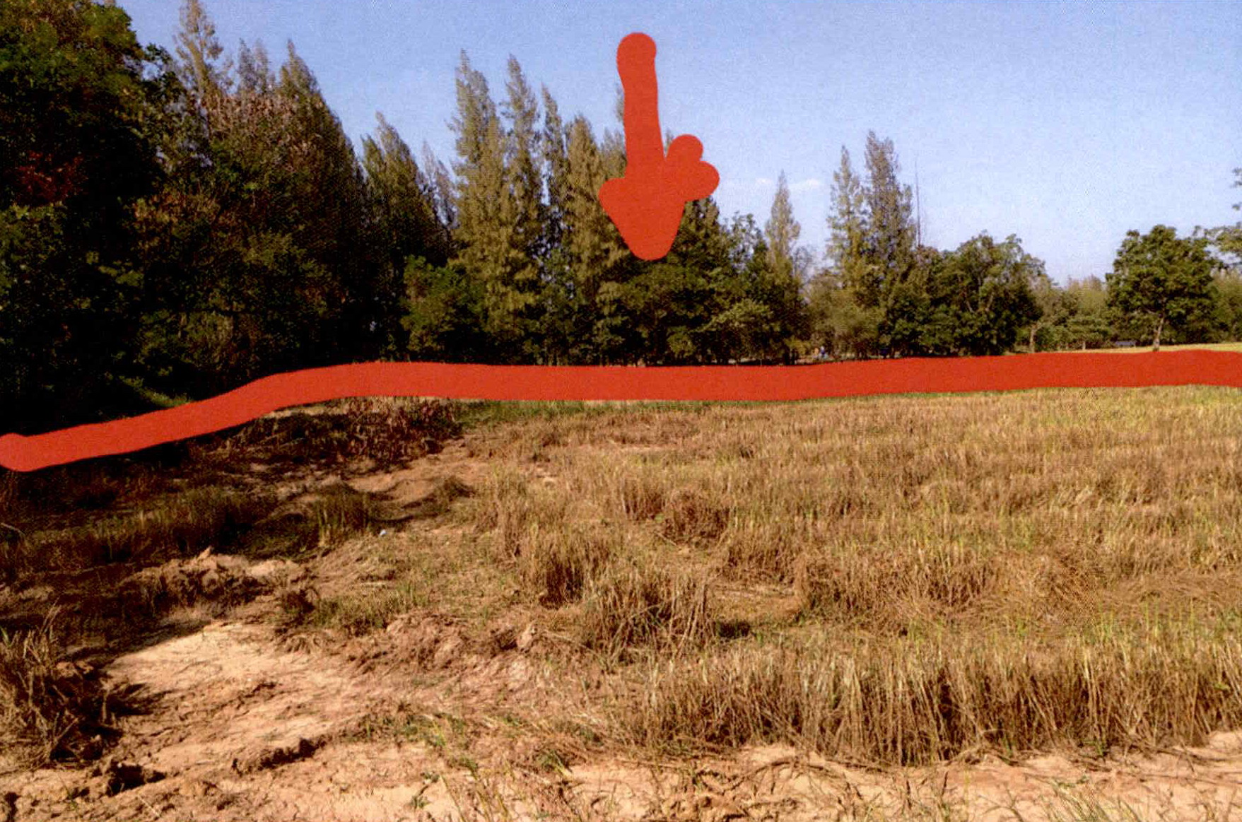 รูปที่ดินว่างเปล่า ช่องสามหมอ แก้งคร้อ ชัยภูมิ