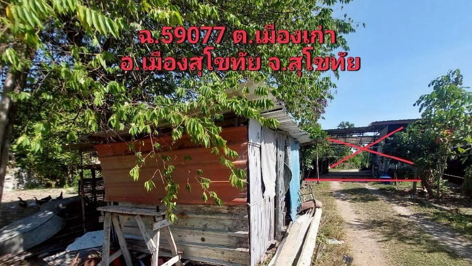 รูปที่ดินพร้อมสิ่งปลูกสร้าง เมืองเก่า เมืองสุโขทัย สุโขทัย