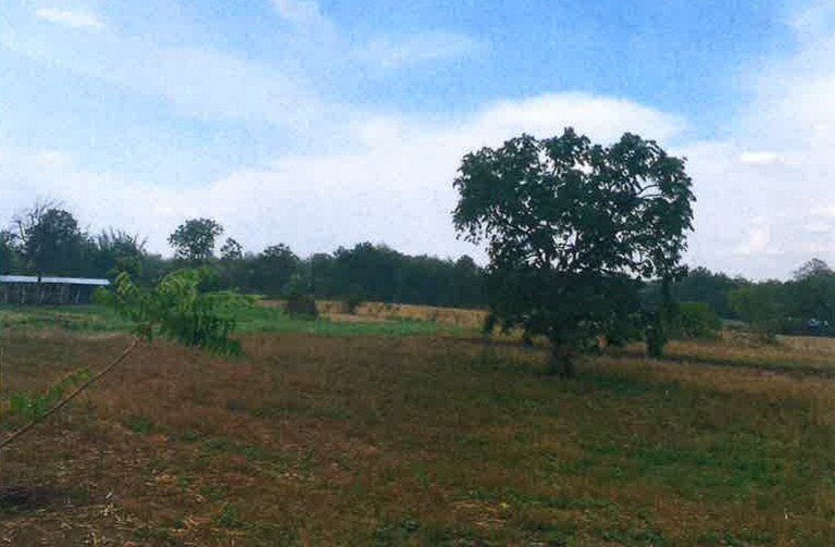 รูปที่ดินว่างเปล่า ป่ามะม่วง เมืองตาก ตาก