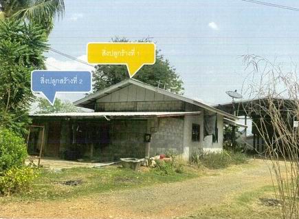 รูปที่ดินพร้อมสิ่งปลูกสร้าง บ้านโคก เมืองเพชรบูรณ์ เพชรบูรณ์