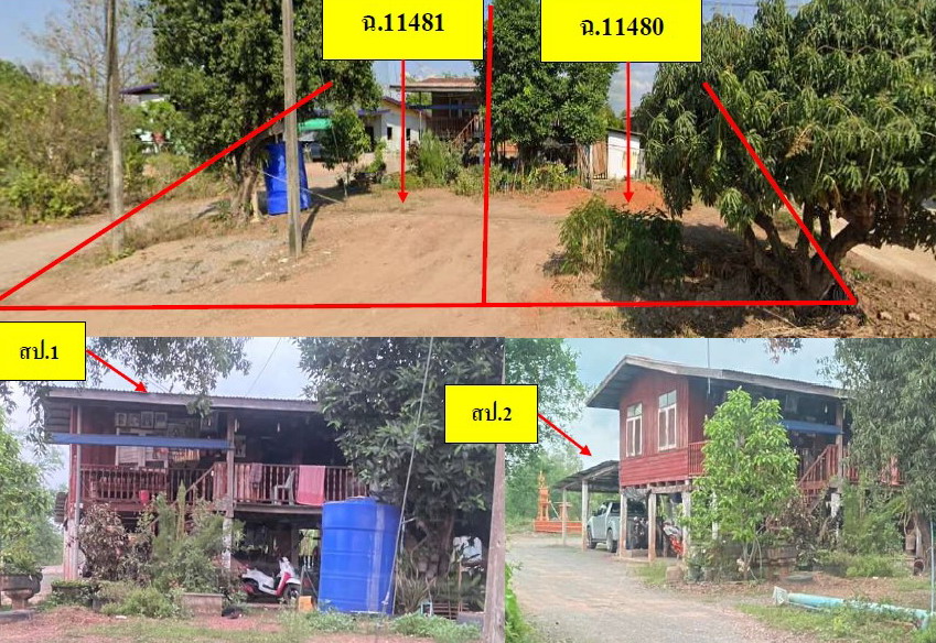รูปที่ดินพร้อมสิ่งปลูกสร้าง วังทับไทร สากเหล็ก พิจิตร