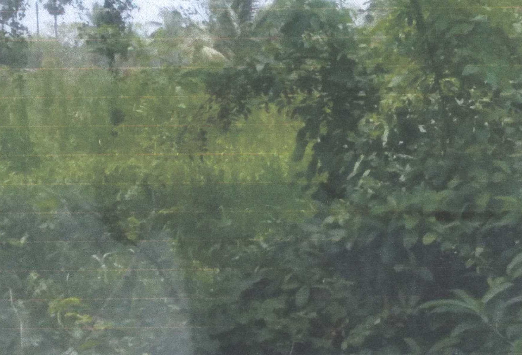 รูปที่ดินว่างเปล่า ตุยง หนองจิก ปัตตานี