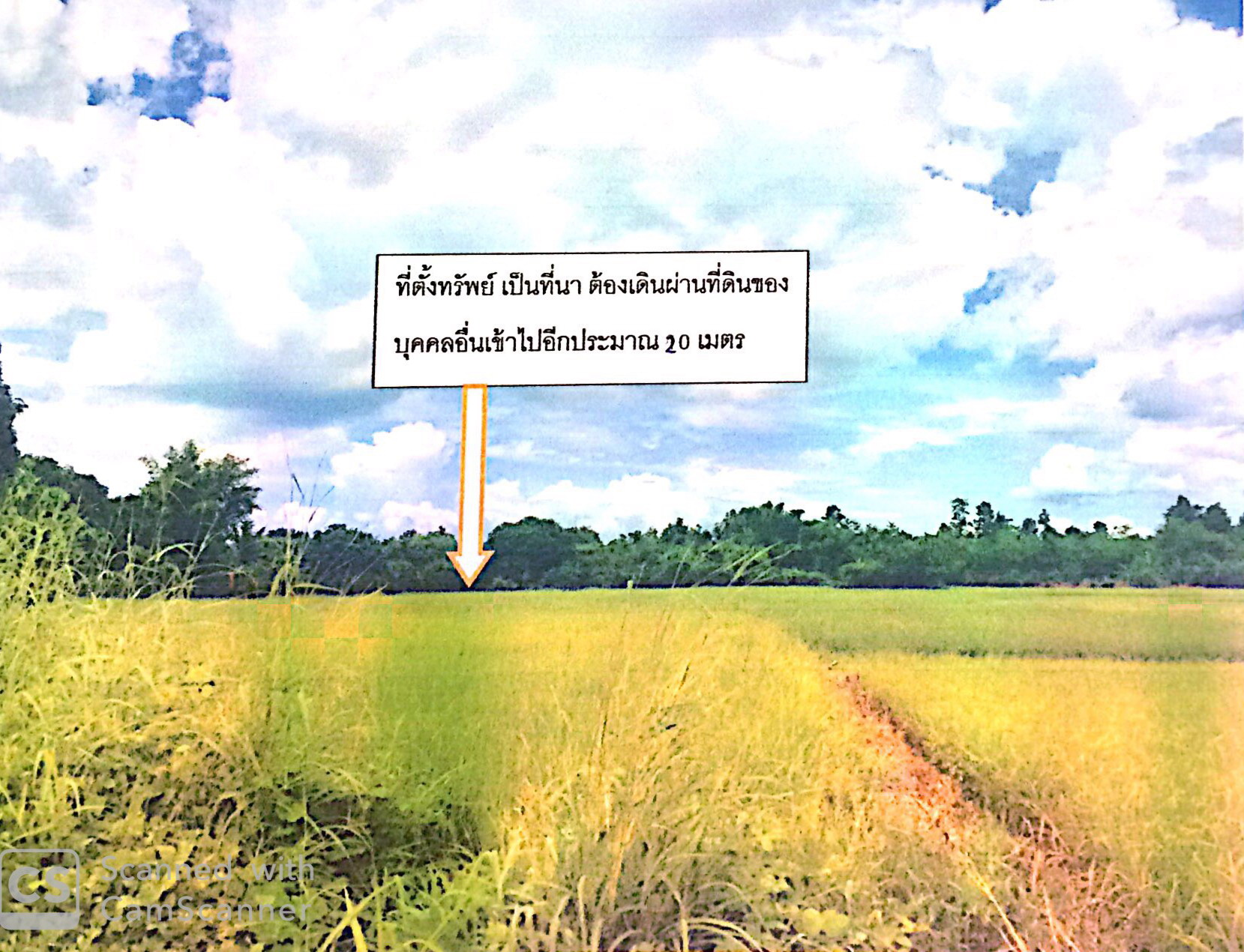 รูปที่ดินว่างเปล่า แม่ตืน ลี้ ลำพูน