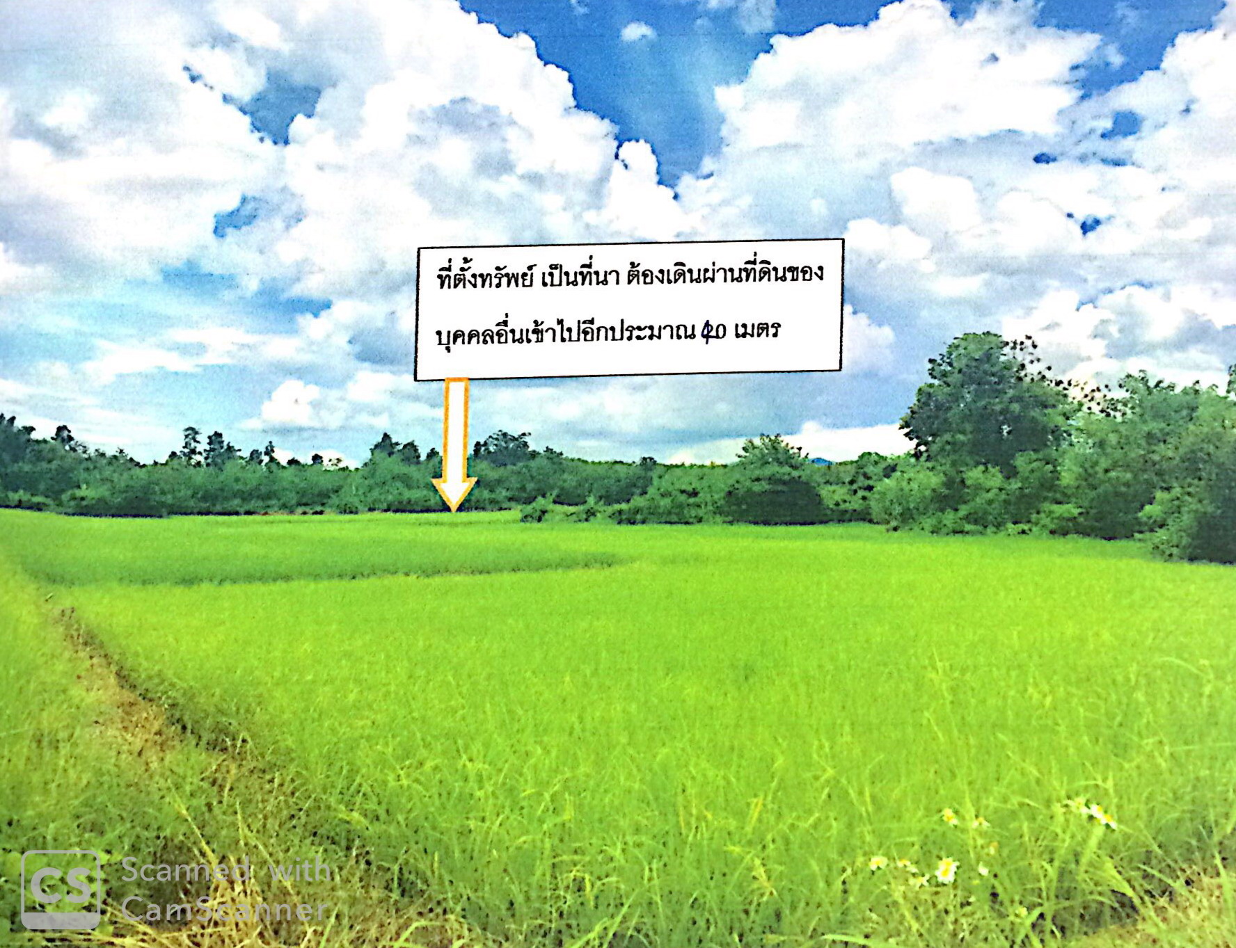 รูปที่ดินว่างเปล่า แม่ตืน ลี้ ลำพูน