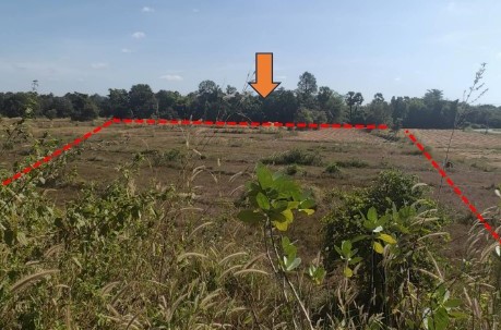 รูปที่ดินว่างเปล่า กองโพน นาตาล อุบลราชธานี