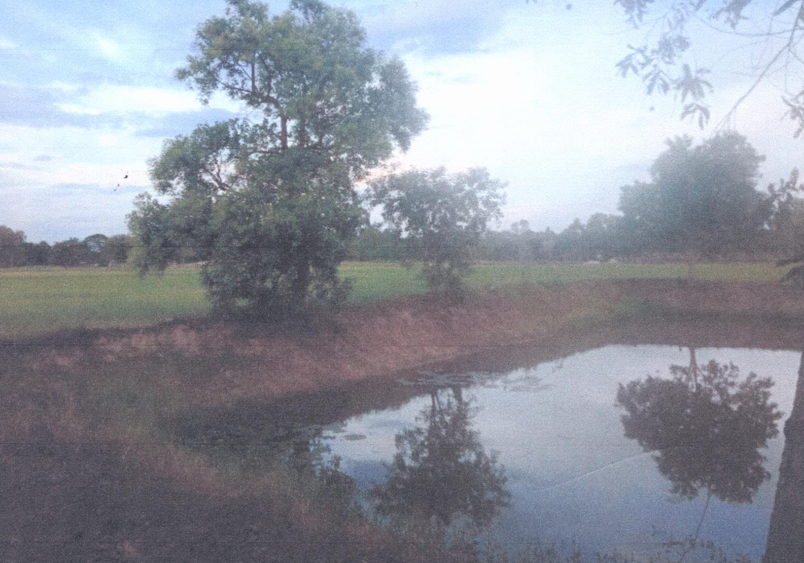 รูปที่ดินว่างเปล่า ไร่น้อย เมืองอุบลราชธานี อุบลราชธานี