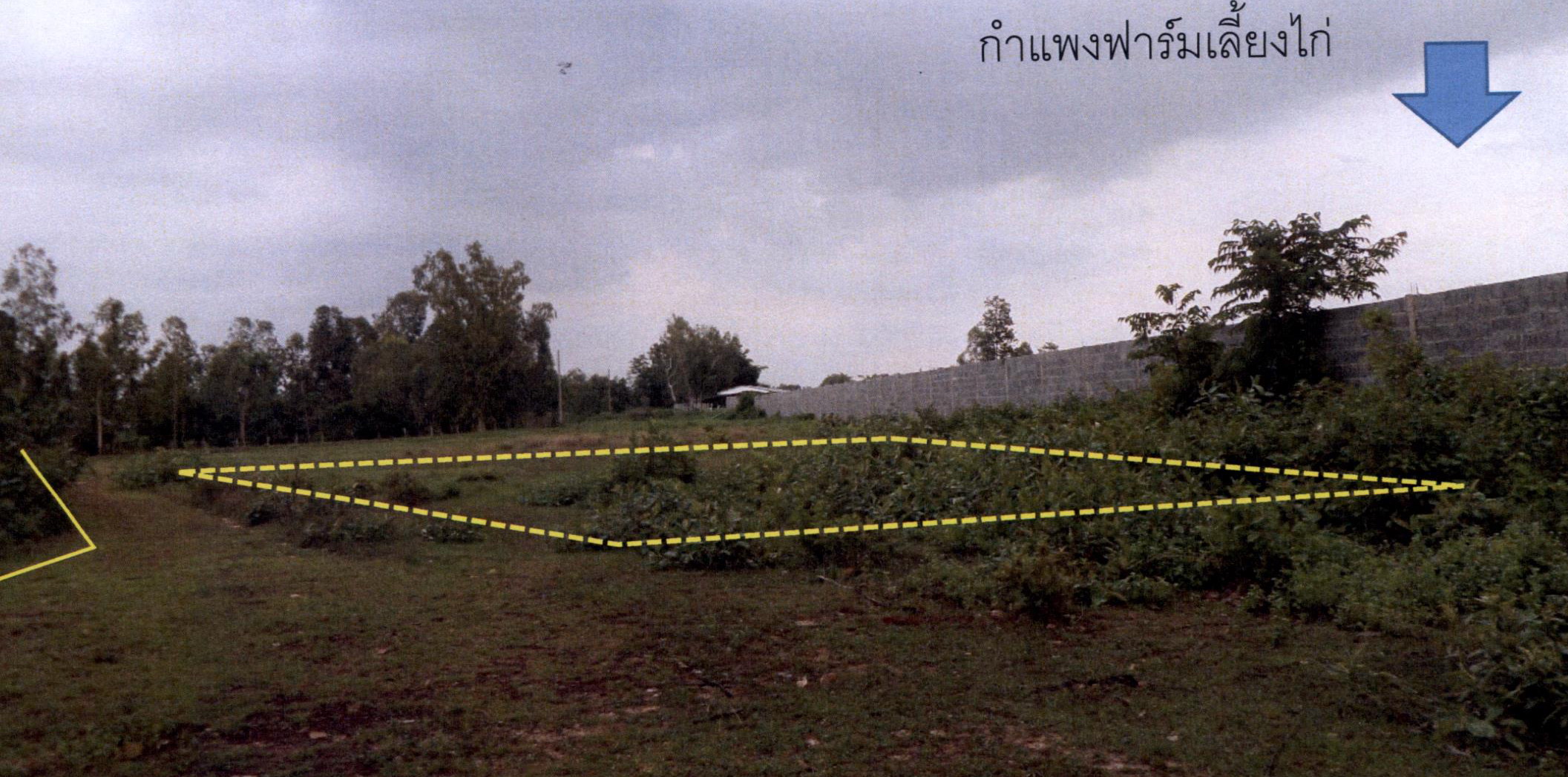 รูปที่ดินว่างเปล่า ท่าช้าง สว่างวีระวงศ์ อุบลราชธานี