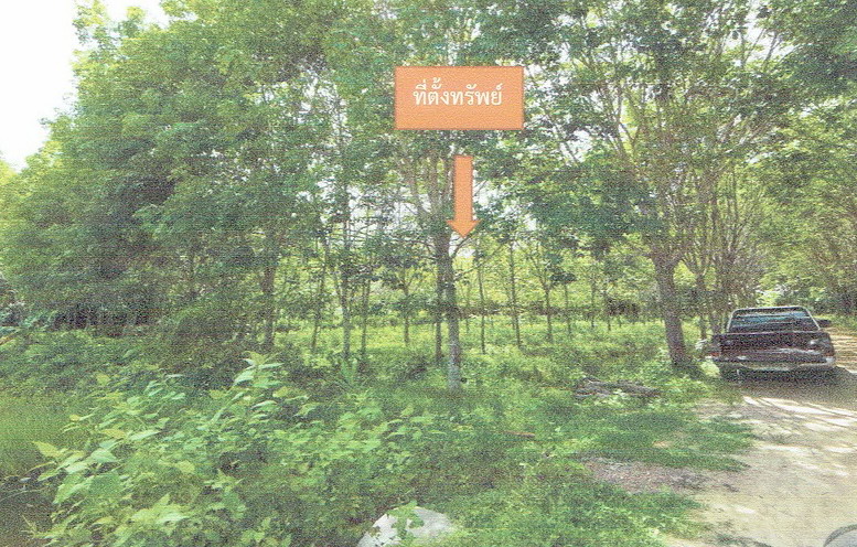 รูปที่ดินว่างเปล่า สาคอใต้ มายอ ปัตตานี