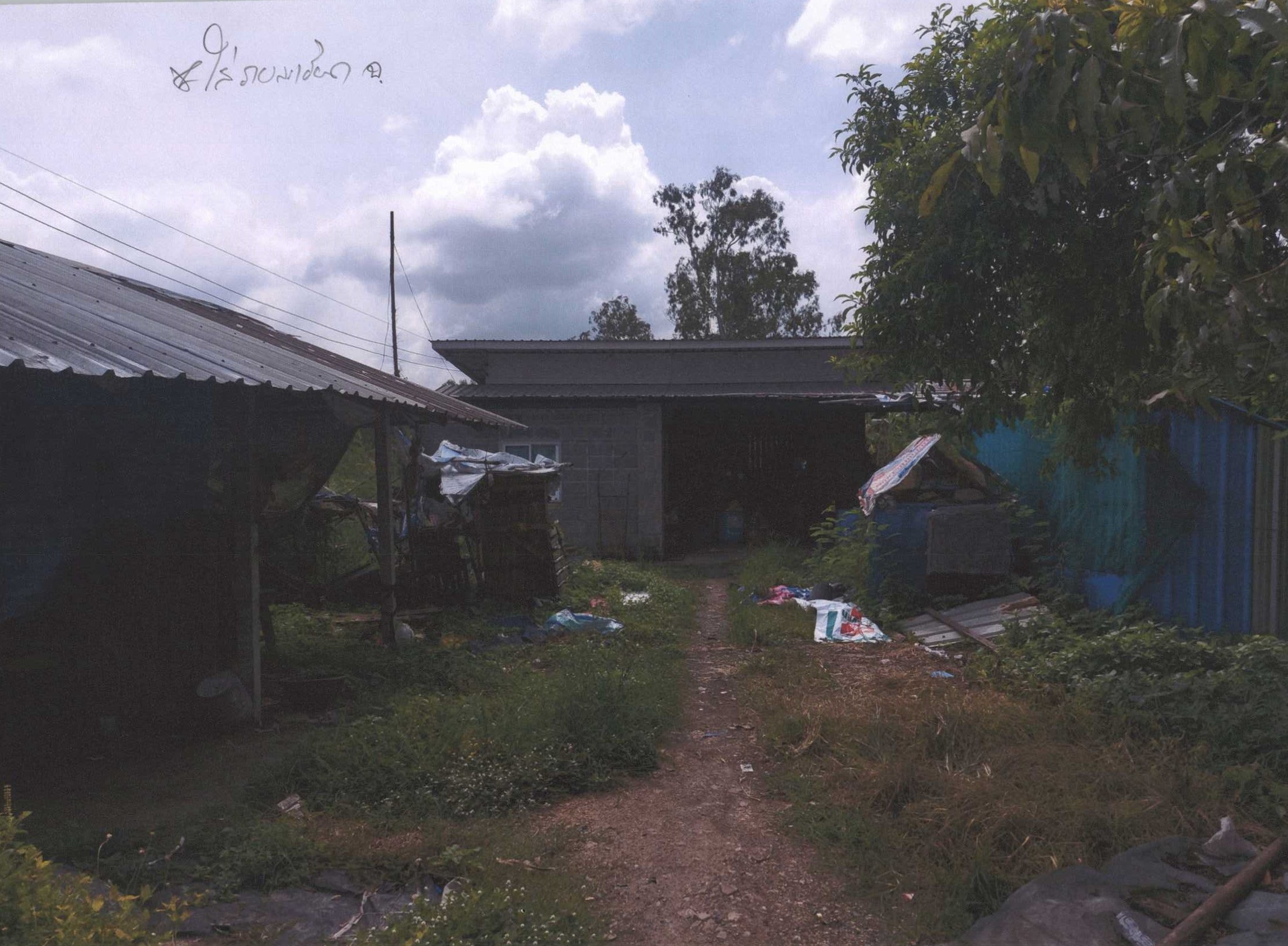 รูปที่ดินพร้อมสิ่งปลูกสร้าง หนองโรง หนองแค สระบุรี