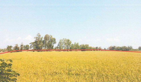 รูปที่ดินว่างเปล่า นาทุ่ง สวรรคโลก สุโขทัย