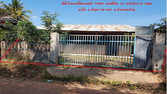 รูปที่ดินพร้อมสิ่งปลูกสร้าง ลือ ปทุมราชวงศา อำนาจเจริญ