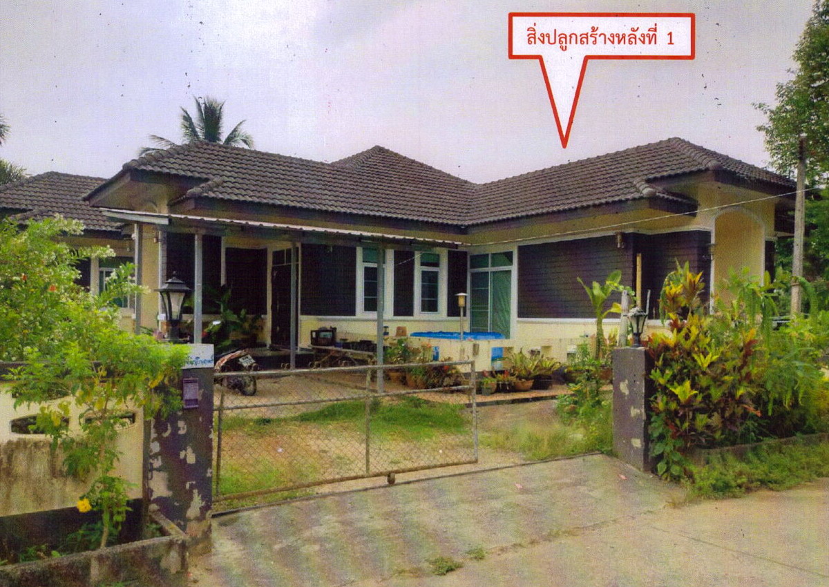 รูปที่ดินพร้อมสิ่งปลูกสร้าง แม่คำ แม่จัน เชียงราย