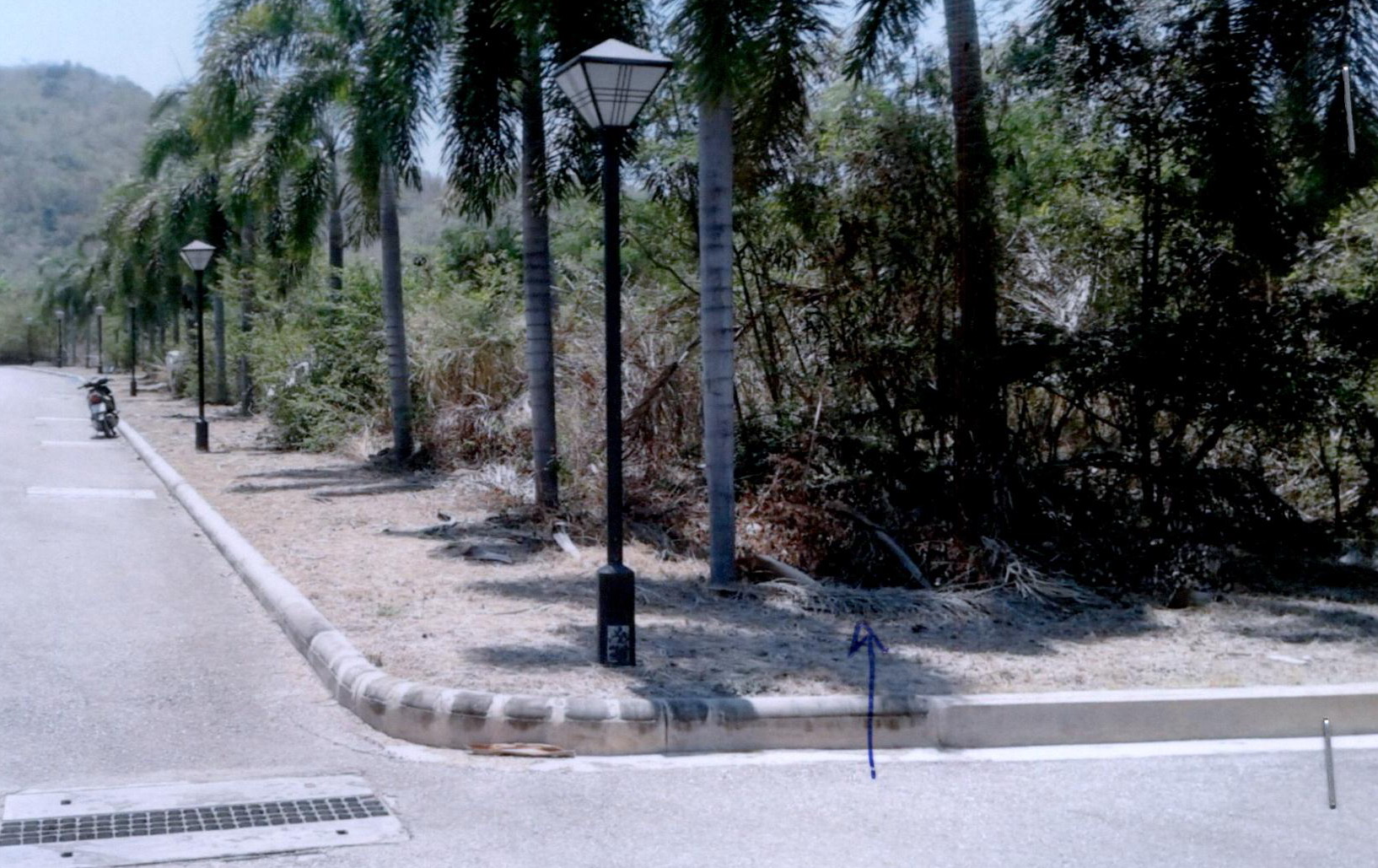 รูปที่ดินว่างเปล่า หนองแก หัวหิน ประจวบคีรีขันธ์