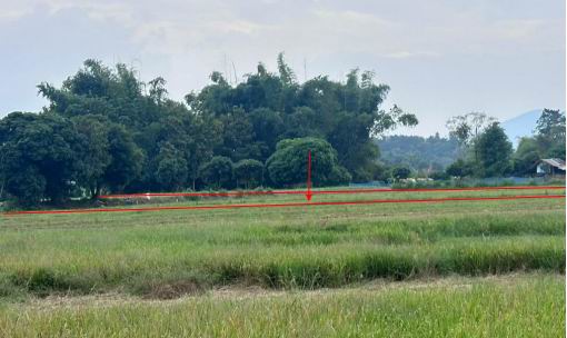 รูปที่ดินว่างเปล่า หงาว เทิง เชียงราย