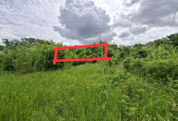 รูปที่ดินว่างเปล่า เหมืองง่า เมืองลำพูน ลำพูน