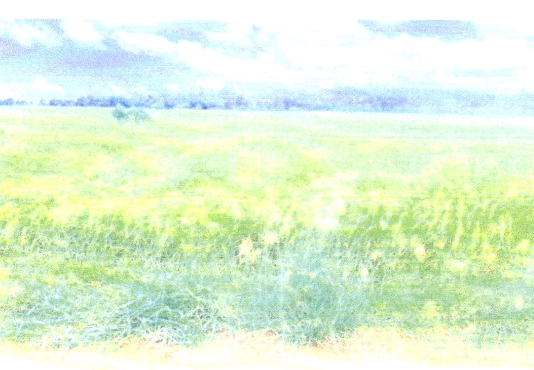 รูปที่ดินว่างเปล่า ดงดินแดง โคกสำโรง ลพบุรี