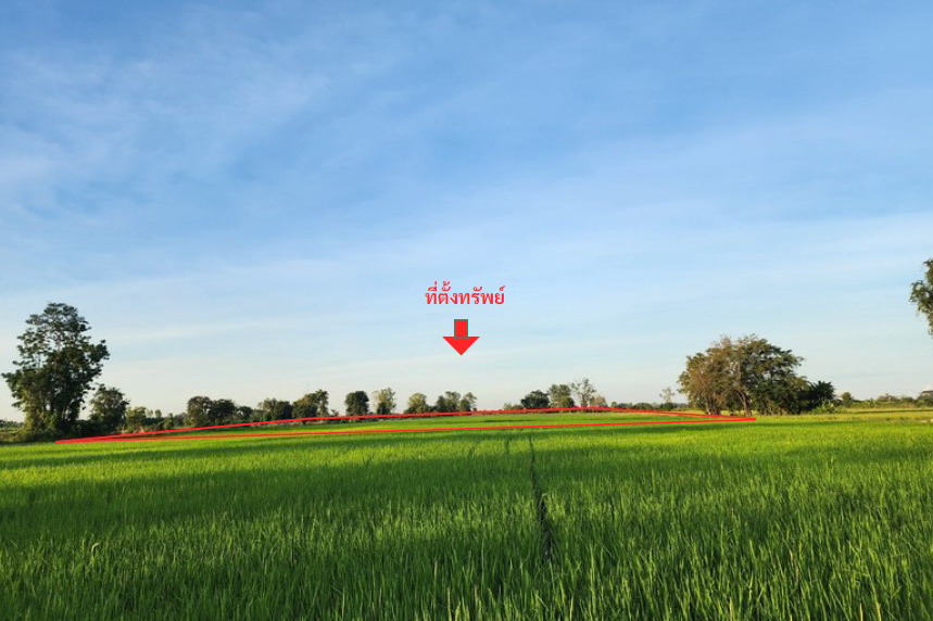 รูปที่ดินว่างเปล่า โพธิ์ไทรงาม โพทะเล พิจิตร