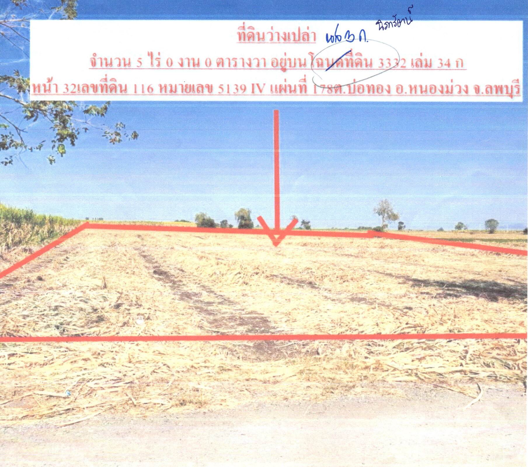 รูปที่ดินว่างเปล่า บ่อทอง หนองม่วง ลพบุรี