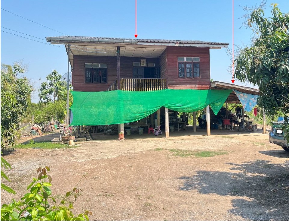 รูปที่ดินพร้อมสิ่งปลูกสร้าง ท่าบัว โพทะเล พิจิตร