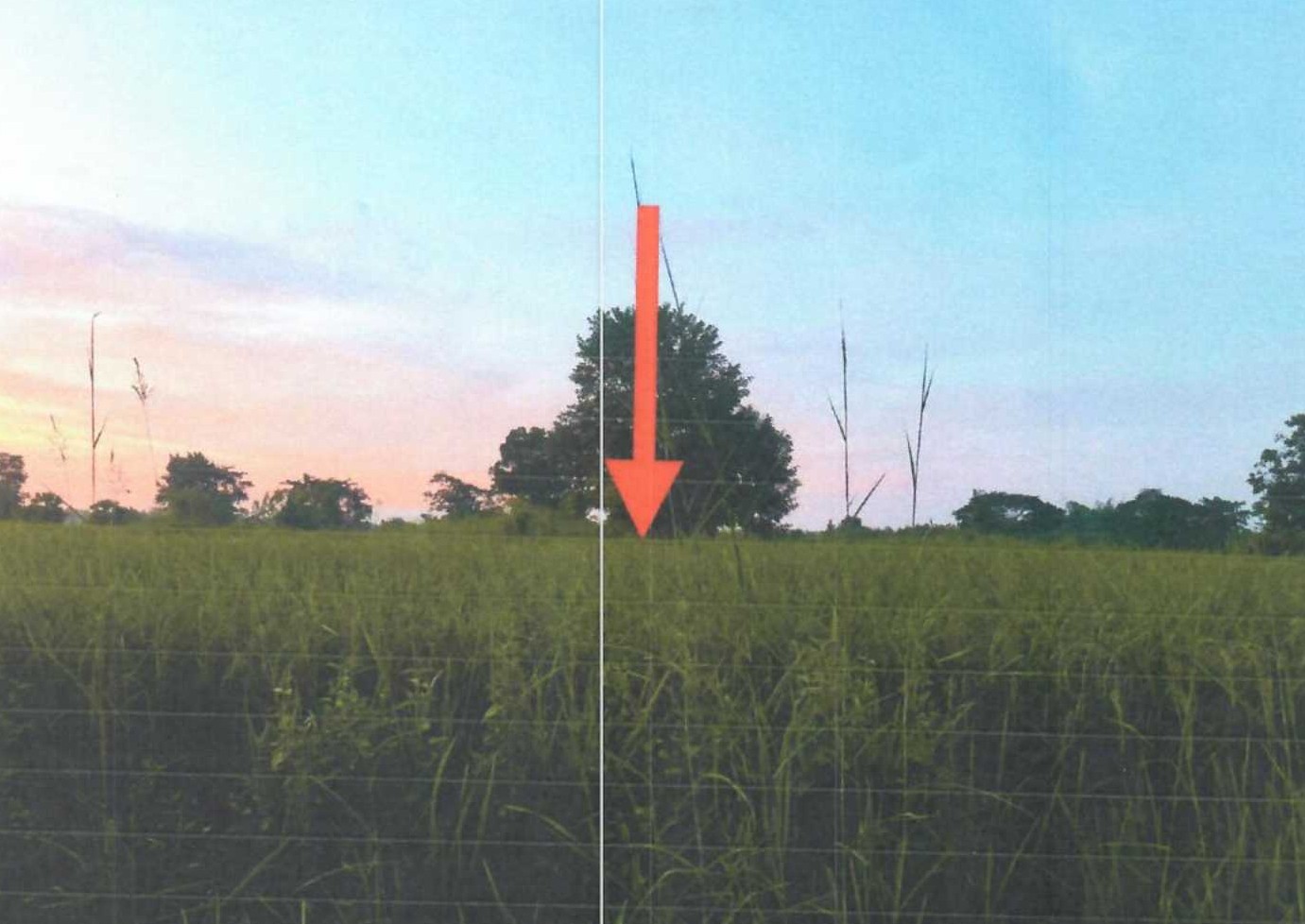 รูปที่ดินว่างเปล่า โพธิ์ชัย เมืองหนองบัวลำภู หนองบัวลำภู