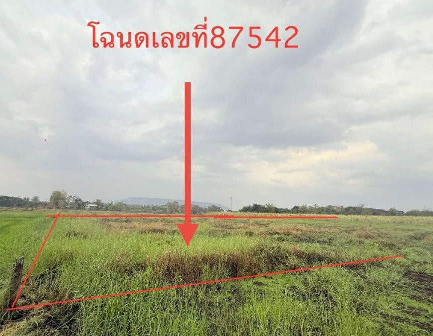 รูปที่ดินว่างเปล่า ชุมแพ ชุมแพ ขอนแก่น