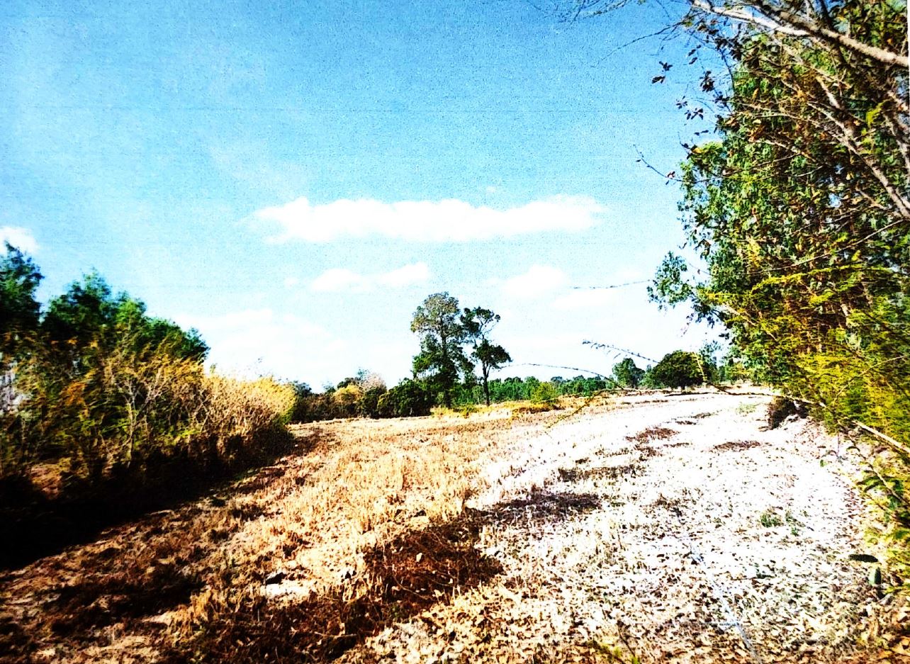 รูปที่ดินว่างเปล่า สำราญ เมืองยโสธร ยโสธร