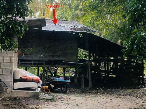 รูปที่ดินพร้อมสิ่งปลูกสร้าง ขุนทะเล ลานสกา นครศรีธรรมราช