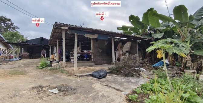 รูปที่ดินพร้อมสิ่งปลูกสร้าง แม่สูน ฝาง เชียงใหม่