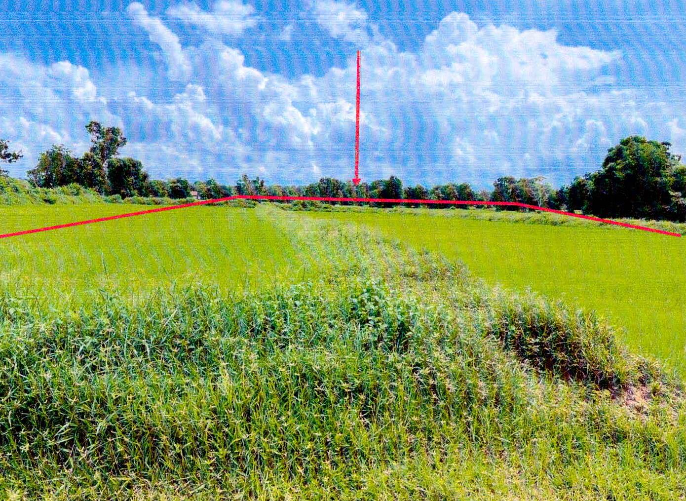 รูปที่ดินว่างเปล่า ท่าสว่าง เมืองสุรินทร์ สุรินทร์
