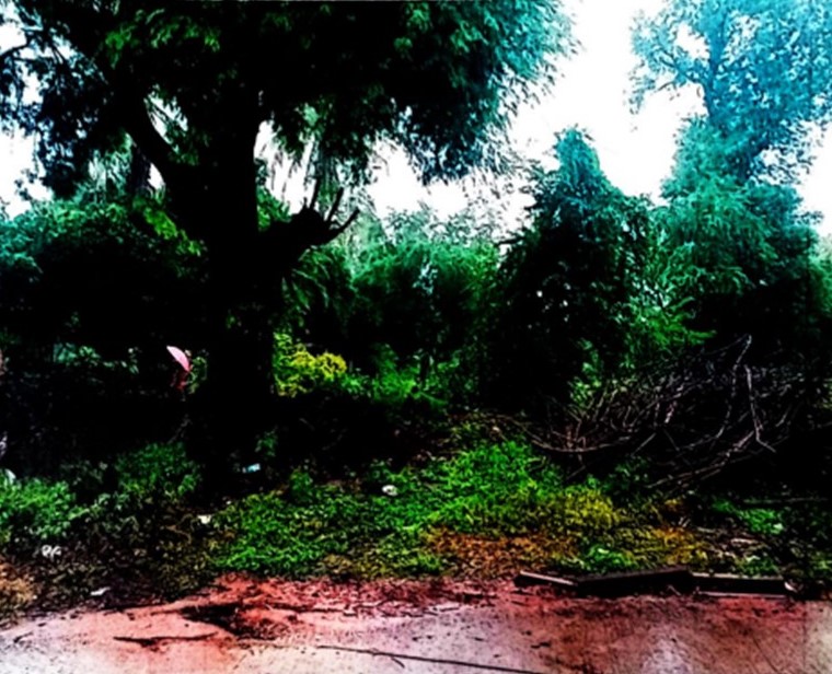 รูปที่ดินว่างเปล่า บ้านหัน โนนศิลา ขอนแก่น