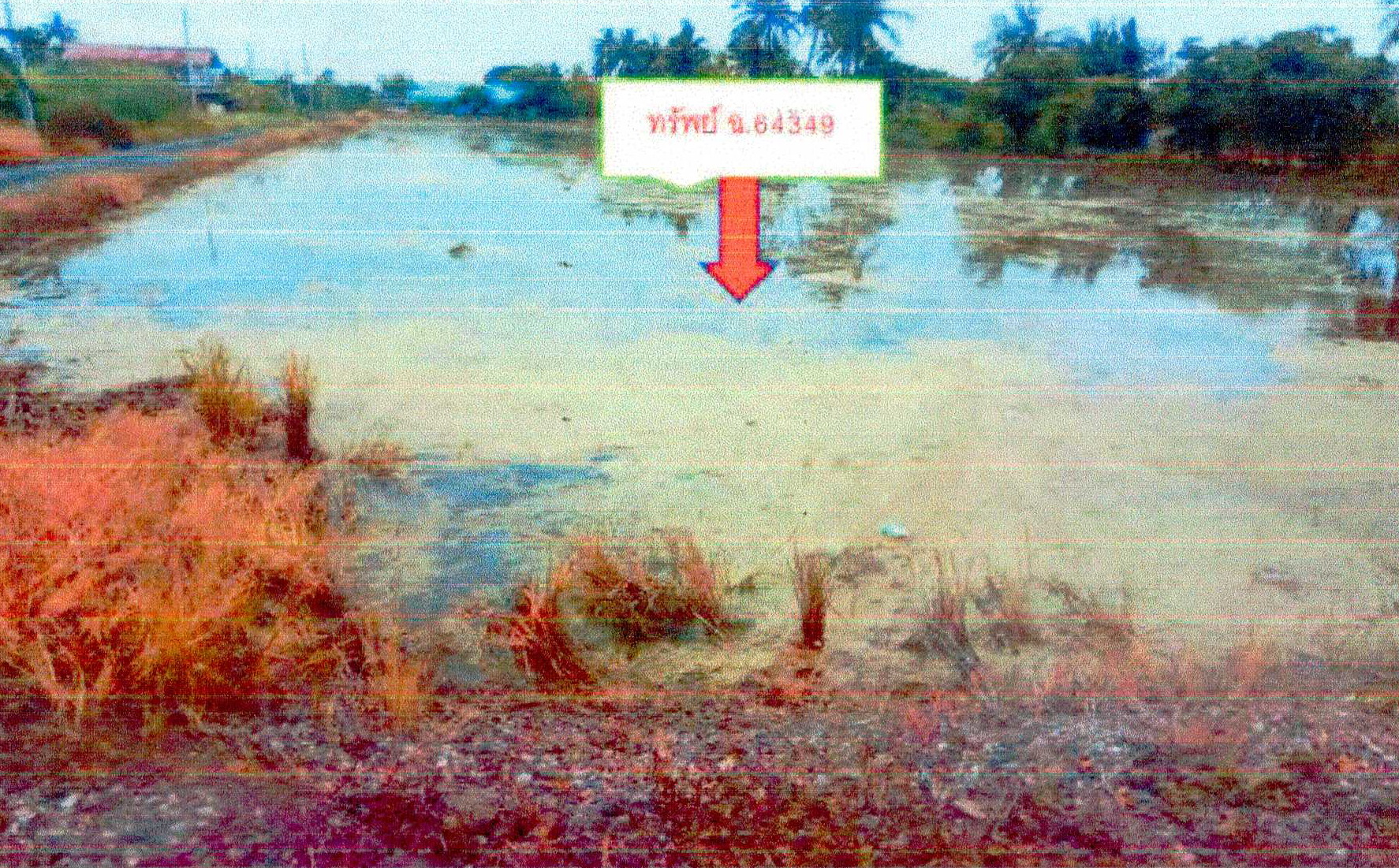 รูปที่ดินว่างเปล่า คลองเปรง เมืองฉะเชิงเทรา ฉะเชิงเทรา