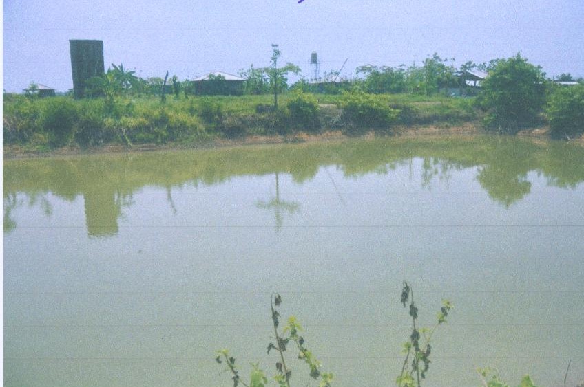 รูปที่ดินว่างเปล่า ทุ่งกวาว เมืองแพร่ แพร่