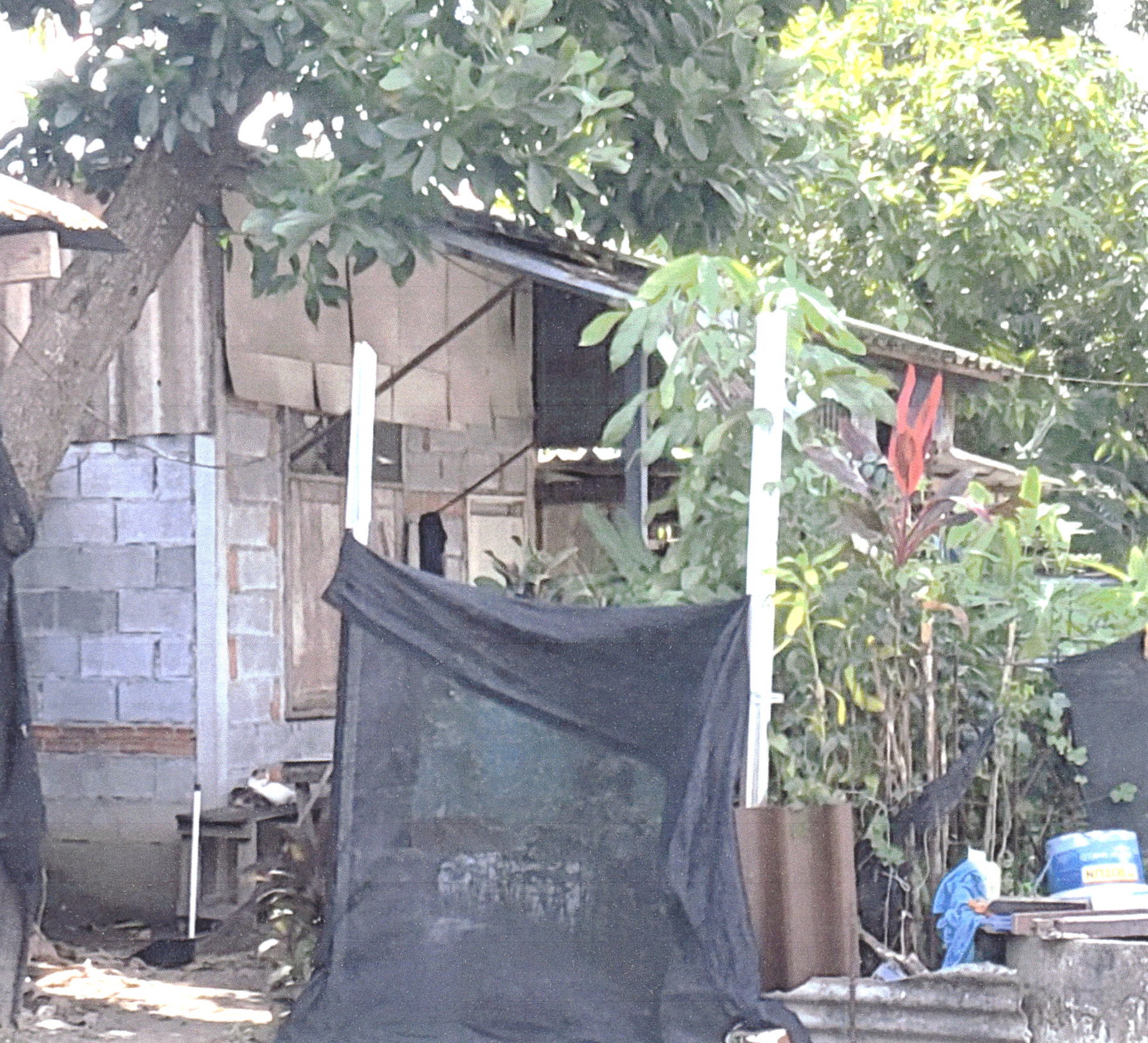 รูปที่ดินพร้อมสิ่งปลูกสร้าง บ้านนา จะนะ สงขลา