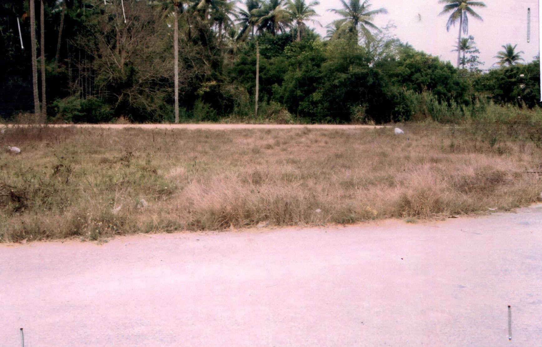 รูปที่ดินว่างเปล่า ทองมงคล บางสะพาน ประจวบคีรีขันธ์