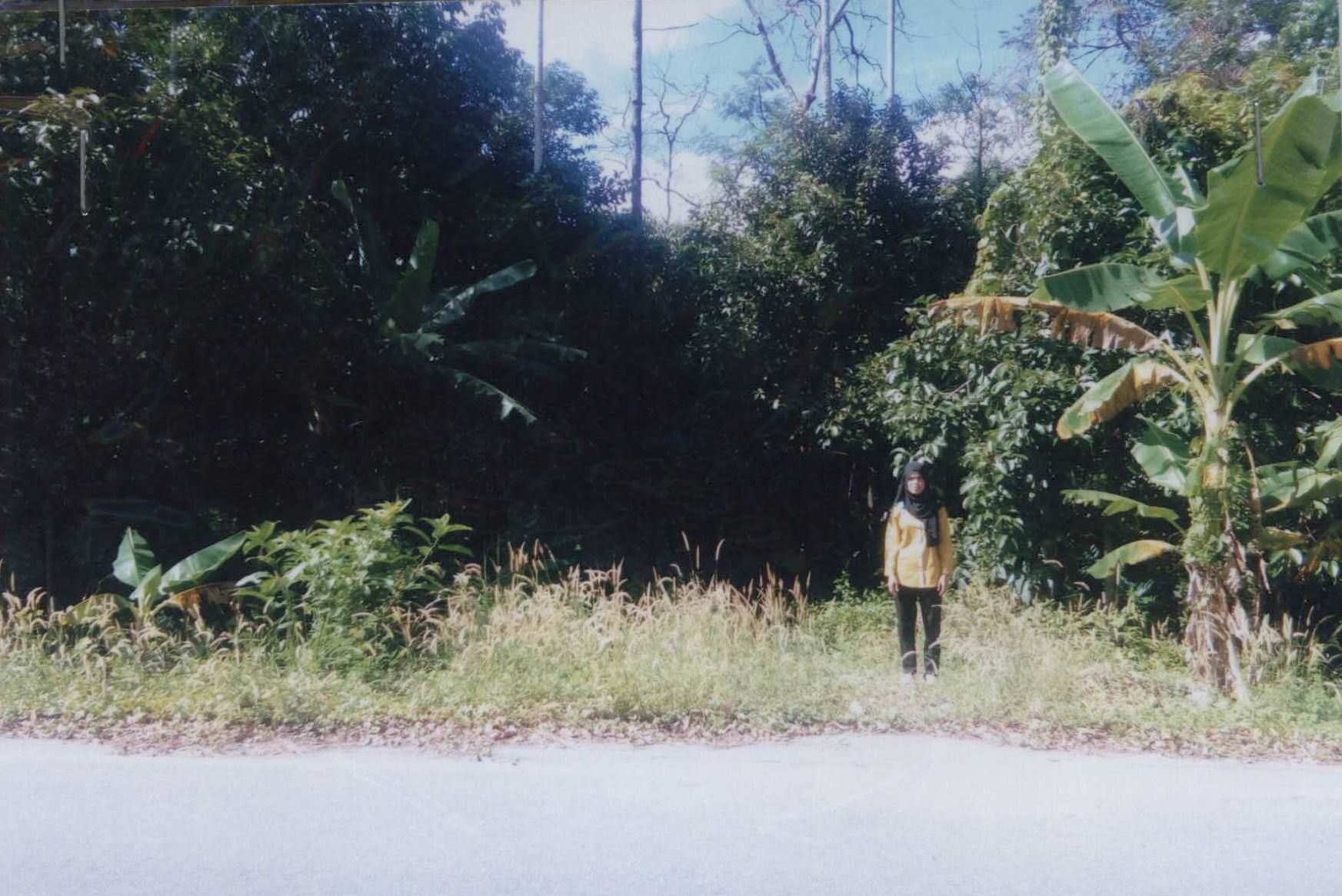 รูปที่ดินว่างเปล่า สะดาวา ยะรัง ปัตตานี
