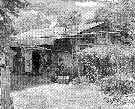 รูปที่ดินพร้อมสิ่งปลูกสร้าง เกาะรัง ชัยบาดาล ลพบุรี