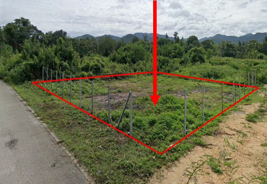 รูปที่ดินว่างเปล่า ลี้ ลี้ ลำพูน