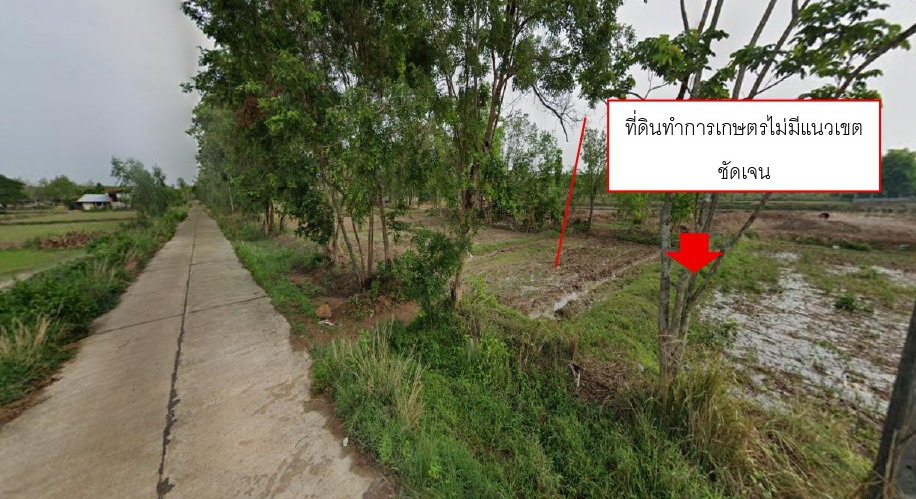 รูปที่ดินว่างเปล่า พรเจริญ พรเจริญ บึงกาฬ