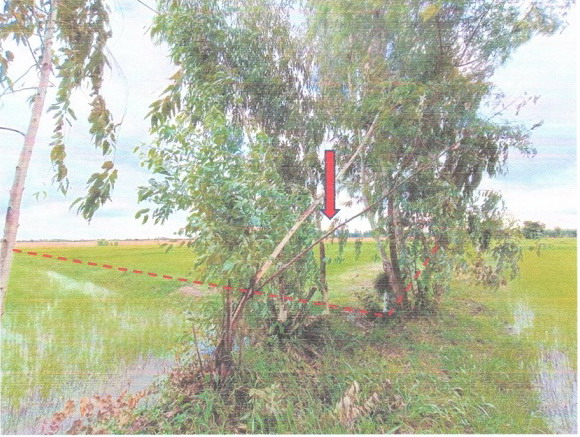 รูปที่ดินว่างเปล่า โนนสูง ขุนหาญ ศรีสะเกษ