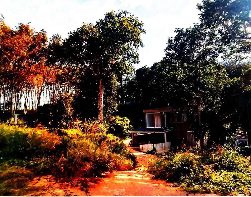 รูปที่ดินว่างเปล่า ศรีสุนทร ถลาง ภูเก็ต