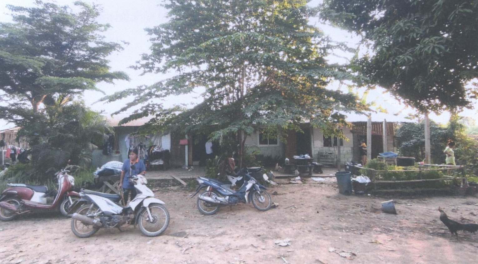 รูปที่ดินพร้อมสิ่งปลูกสร้าง ดงกลาง เมืองพิจิตร พิจิตร