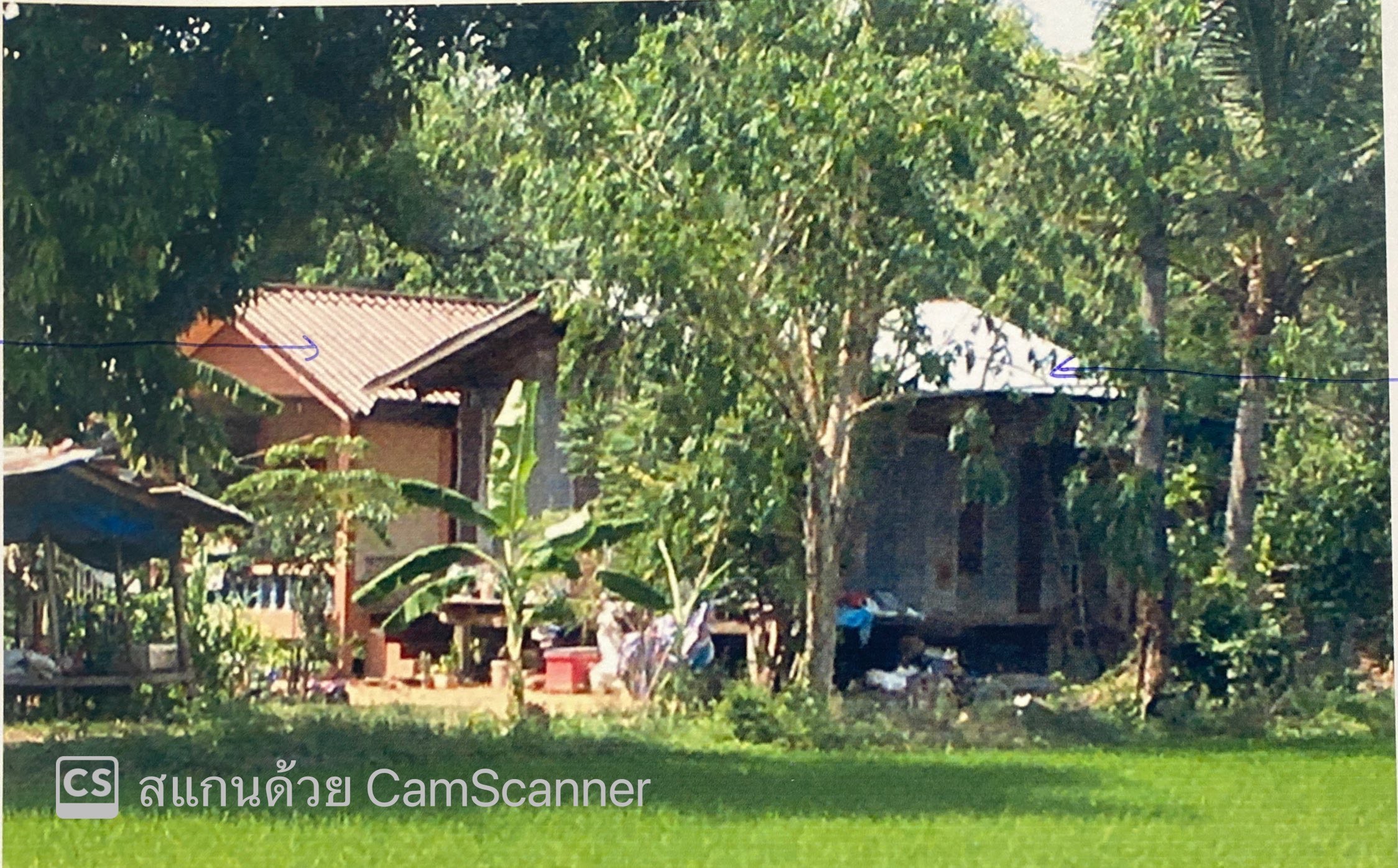 รูปที่ดินพร้อมสิ่งปลูกสร้าง ท้อแท้ วัดโบสถ์ พิษณุโลก