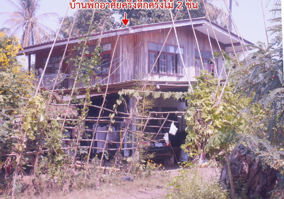 รูปที่ดินพร้อมสิ่งปลูกสร้าง ตะนาวศรี สวนผึ้ง ราชบุรี