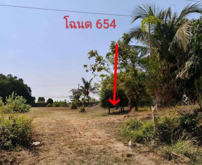 รูปที่ดินว่างเปล่า บึงงาม ทุ่งเขาหลวง ร้อยเอ็ด
