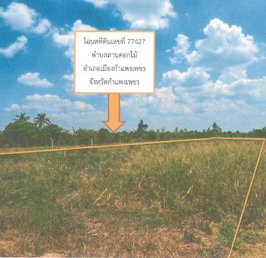รูปที่ดินว่างเปล่า ลานดอกไม้ เมืองกำแพงเพชร กำแพงเพชร