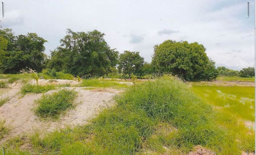 รูปที่ดินว่างเปล่า หนองแก เมืองอุทัยธานี อุทัยธานี