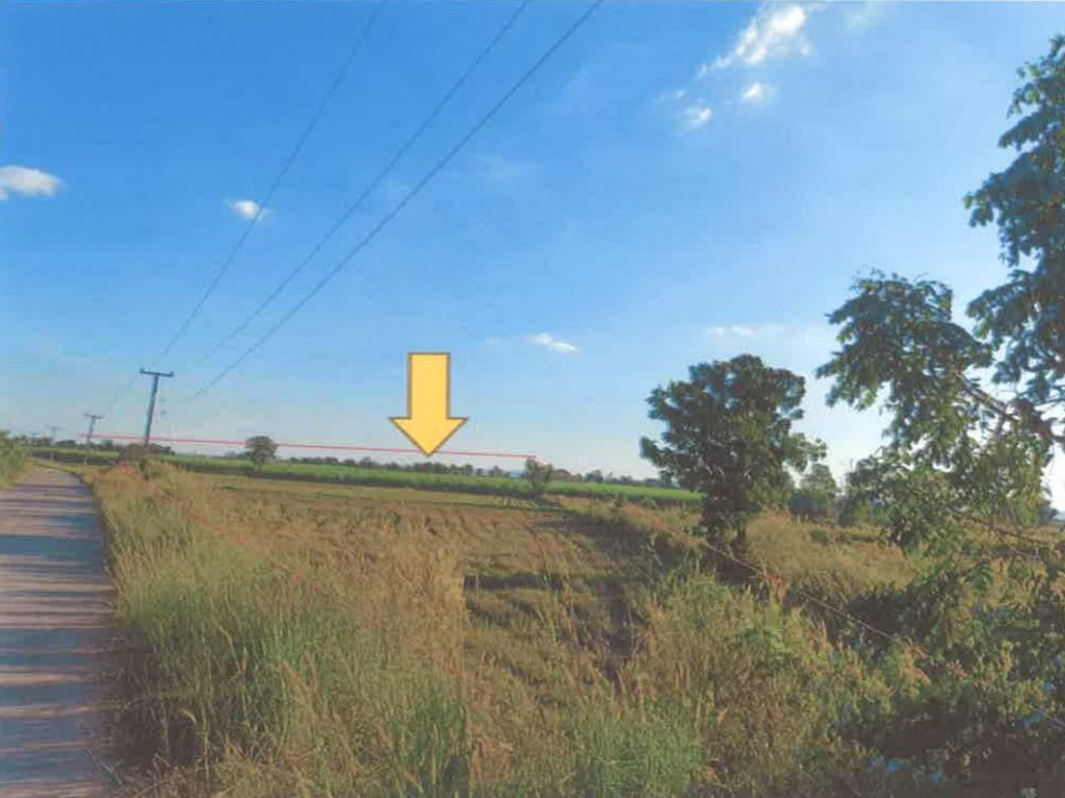 รูปที่ดินว่างเปล่า สำโรง ปักธงชัย นครราชสีมา